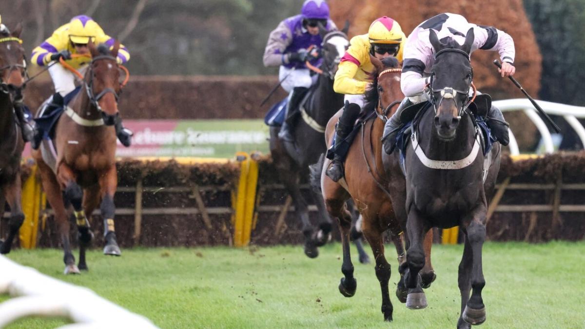 Rose Dobbin chaser 